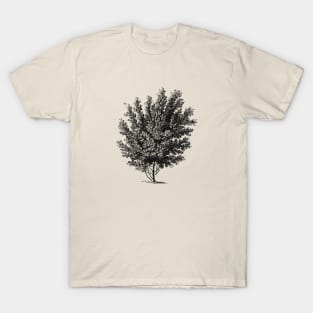 tree design T-Shirt